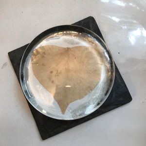 Hi i’m Taylor and this is my leaf creation.